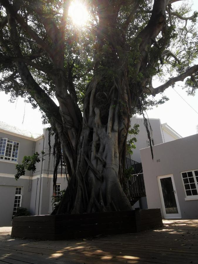 Dawson Manor Guest House East London Ngoại thất bức ảnh